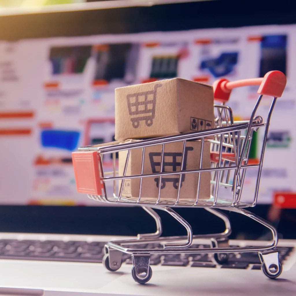 Digital Marketing Consultant - JibinABR Ecommerce